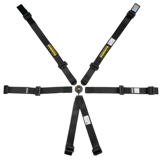 6pt Harness Profi 2x2 Pull-Up Lap